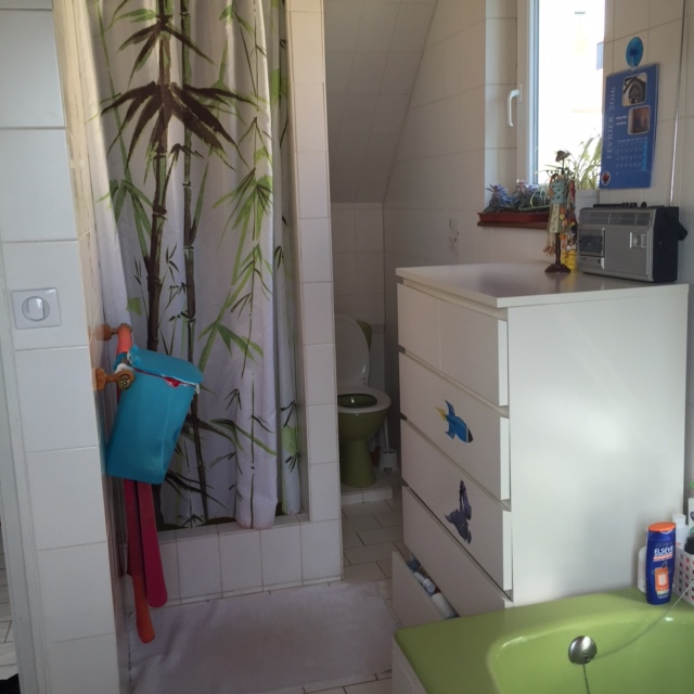 Salle de bain du 1er étage (douche, baignoire et WC)