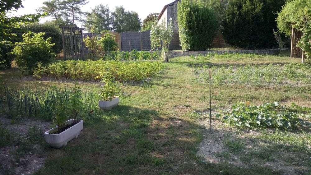 Notre potager