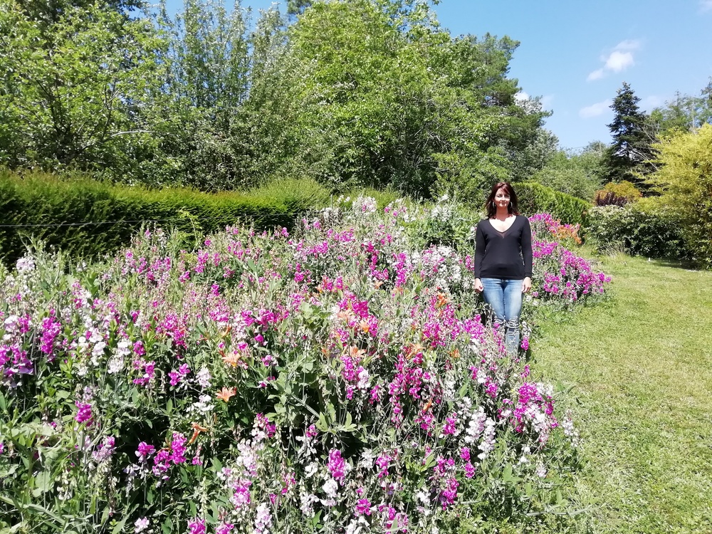 Quelques fleurs dans notre terrain