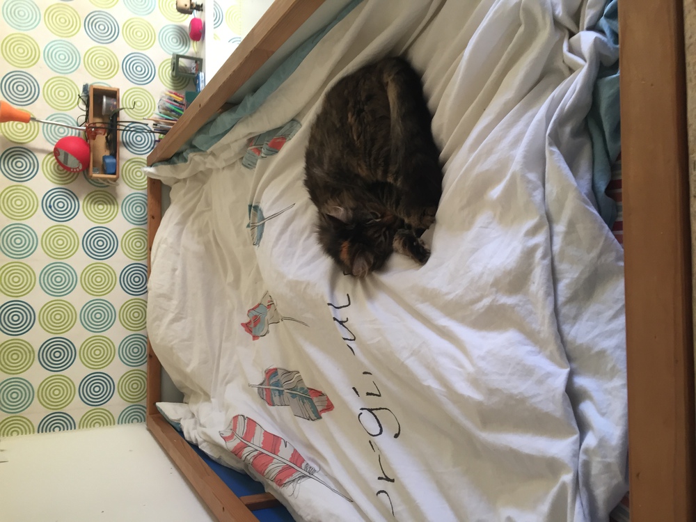 chambre enfant 2