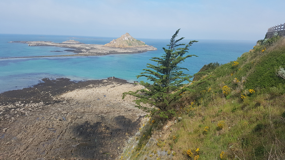 Jolie vue sur mer prise du chemin côtier à 5 mn à pied de notre appartement