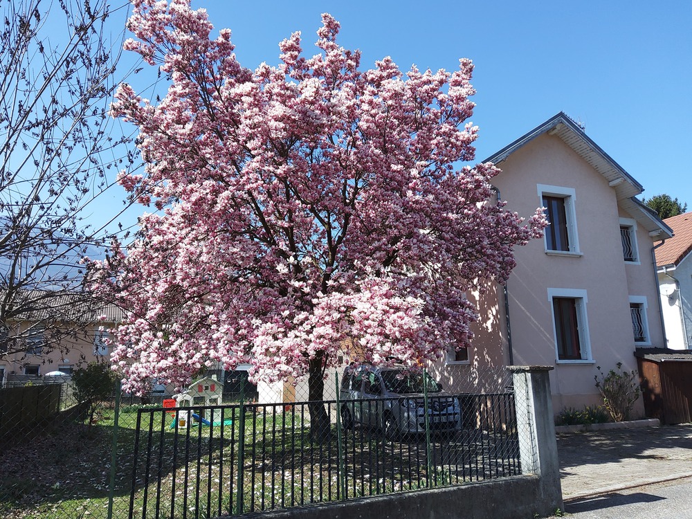 photo principale