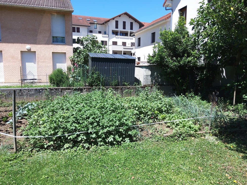 Le potager