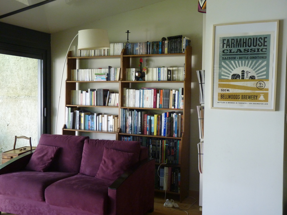 le coin bibliothèque du salon