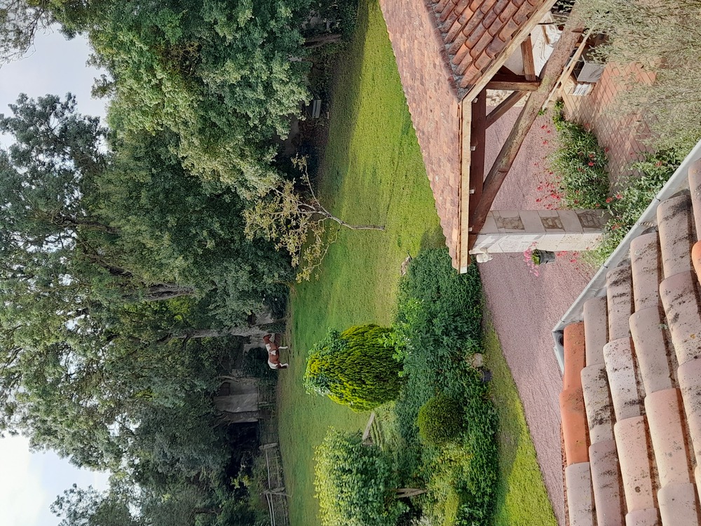 vue du toit