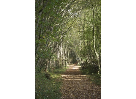 Très belles promenades pédestres dans le village le plus proche à Rouillon