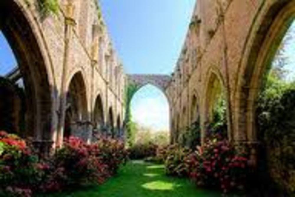 Abbaye de Beauport (30minutes) 