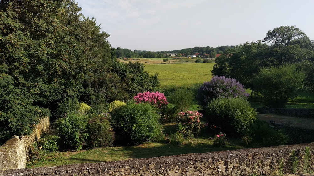 vue de la terrasse sur le jardin