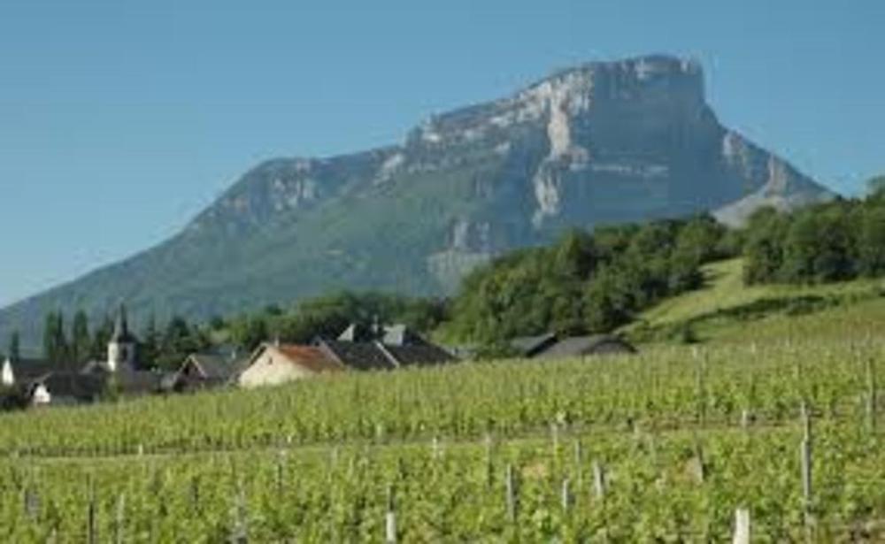 Massif du Granier en Chartreuse à une quinzaine de km 