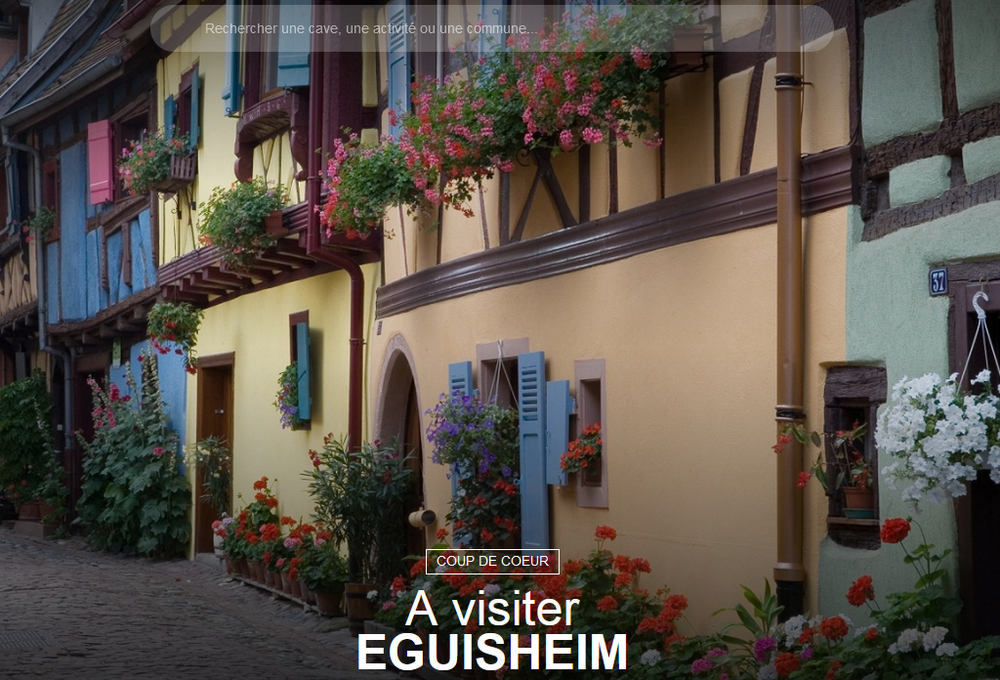 4 des plus beaux villages de France : Eguisheim, Kayersberg, Riquewihr, Ribeauvillé 