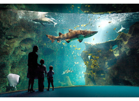 Aquarium de La Rochelle 
