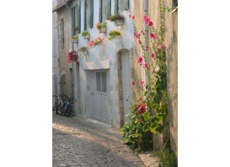 Ile de Ré à 20 mn de la maison