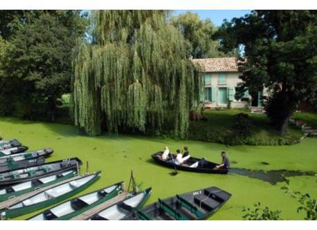 Coulon, Marais Poitevin 