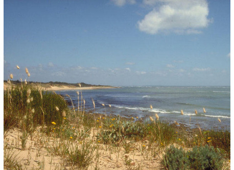 Ile d'Oléron, à 1 heure de la maison 