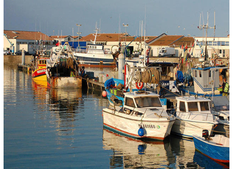 Ile d'Oléron 