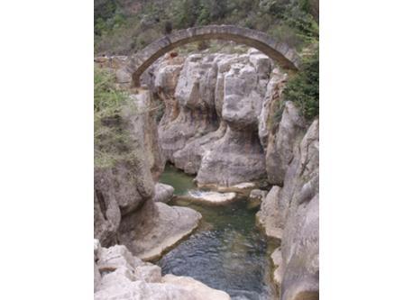 la garrigue