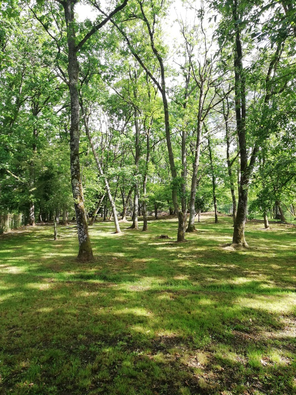 notre jardin boisé