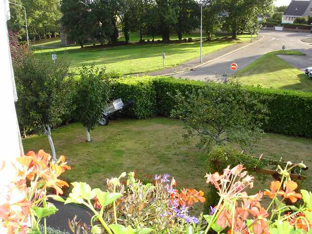 jardin