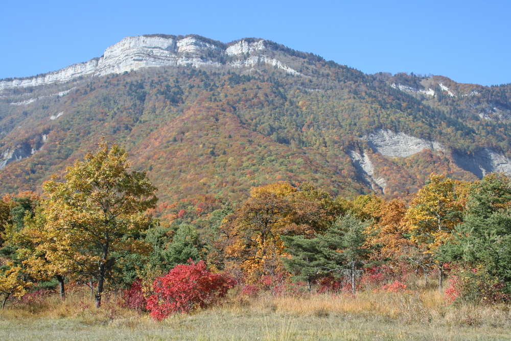 La Chartreuse, vue d'automne, à 5 minutes de la maison