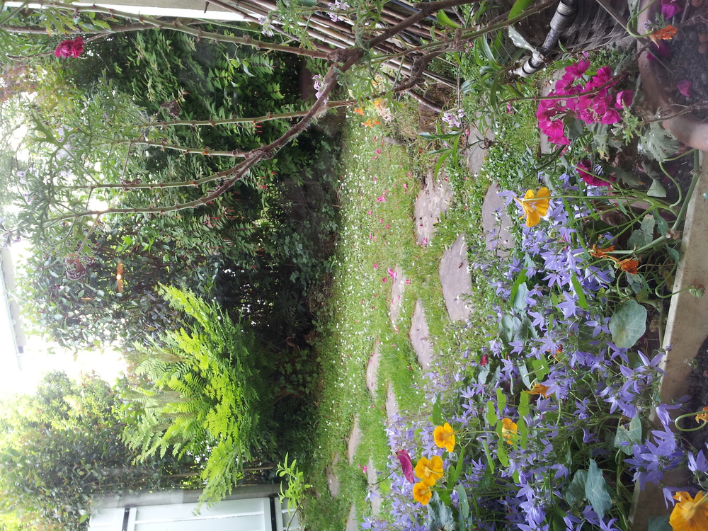 Le jardin au printemps depuis la banquette