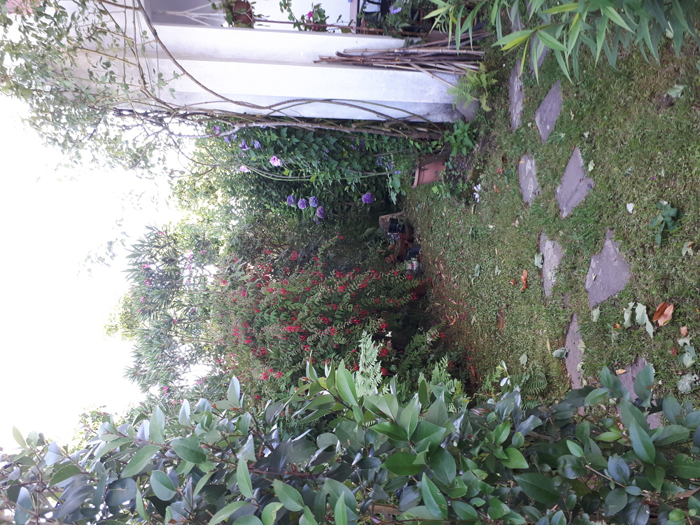 Le jardin quie entoure l'appartement est vite traversé