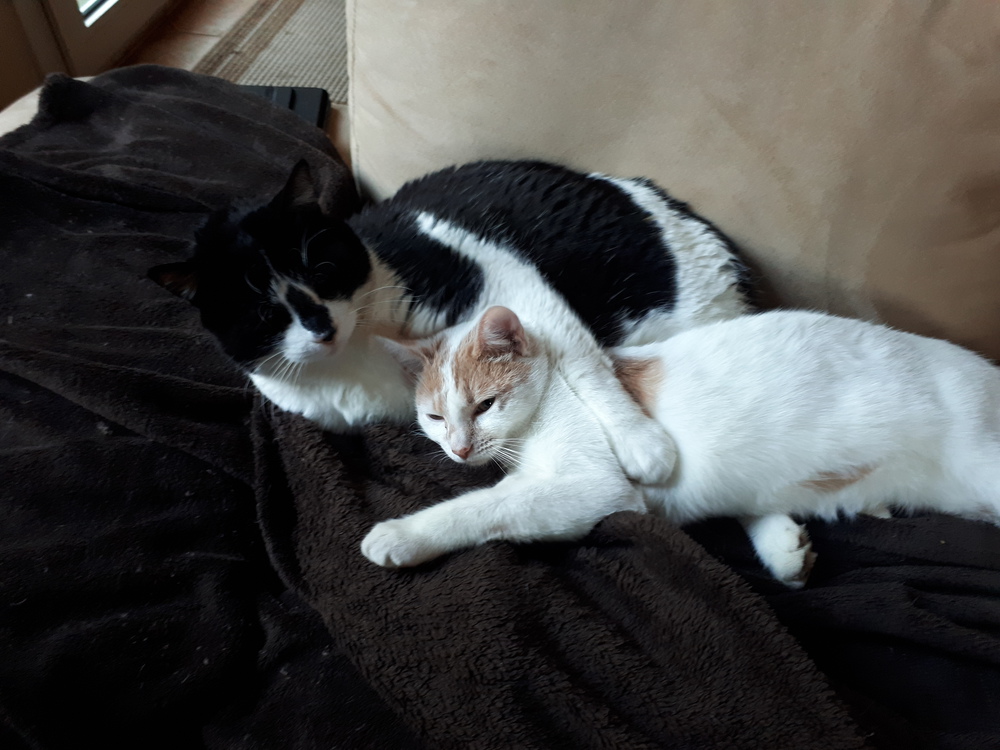 Pablo et Eva