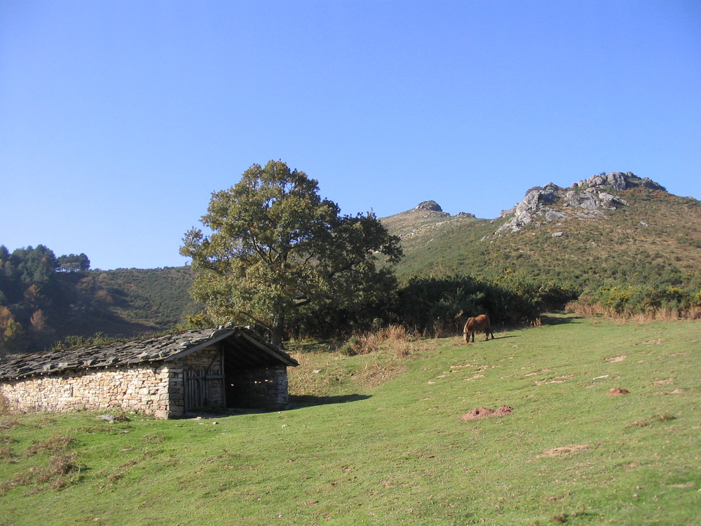 Bergerie dans la montagne basque