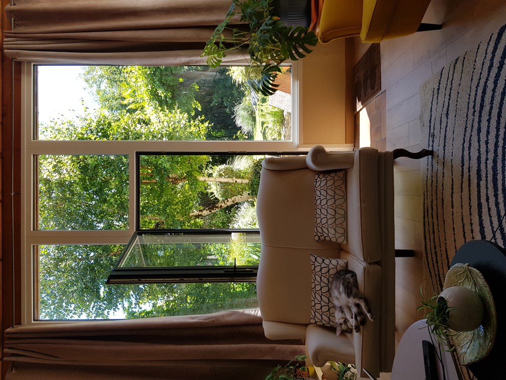 Notre Chat Jobi vit essentiellement dehors mais vient faire quelques siestes à la maison