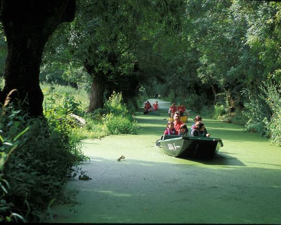 Marais poitevin, à visiter ...