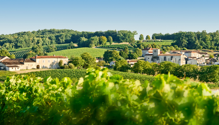 Vignoble du Cognac - 5 minutes