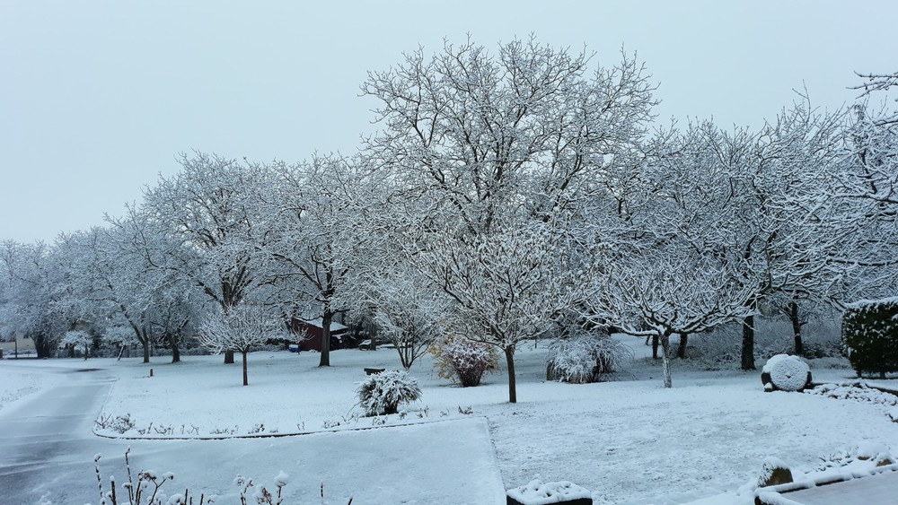 neige devant la maison