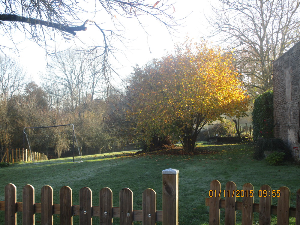 jardin arrière