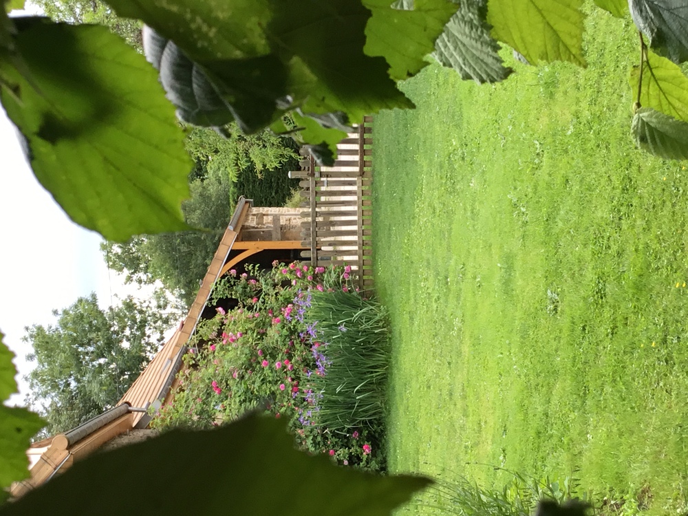 jardin arrière