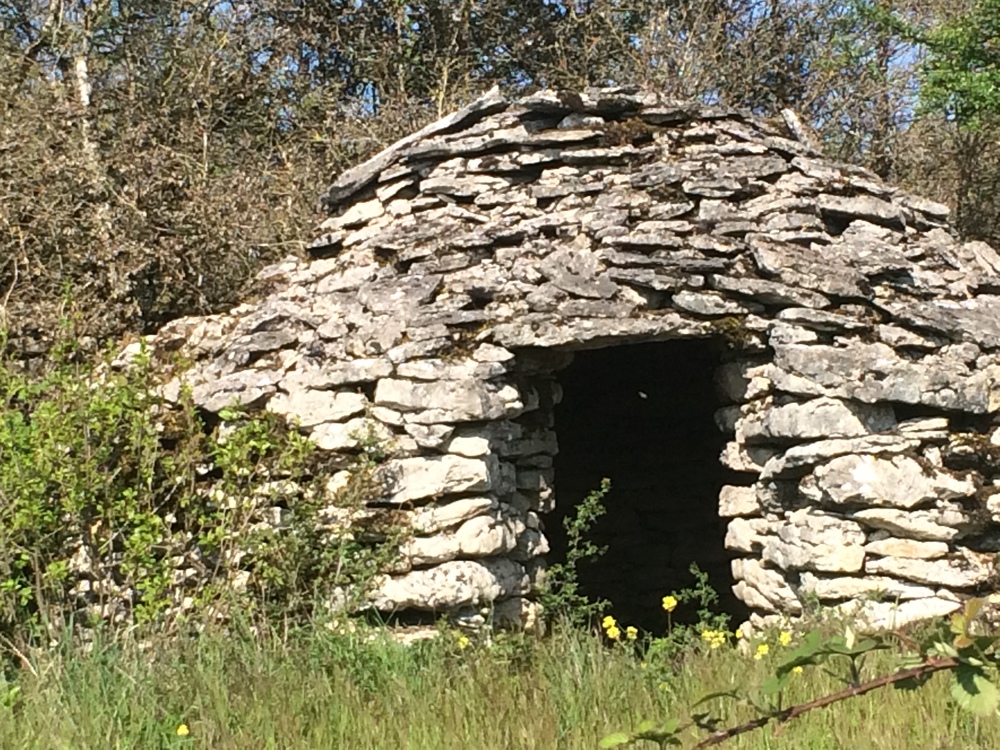 cabotte dans les vignes