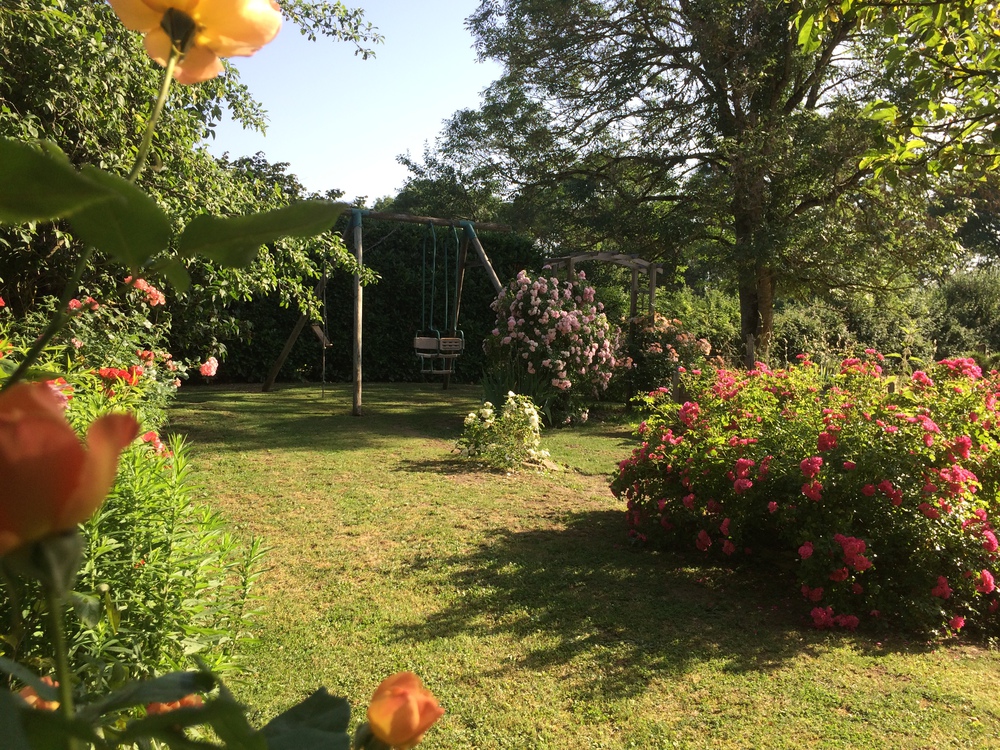 jardin côté terrasse