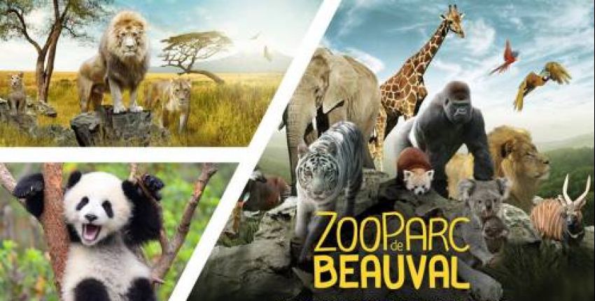 Zoo de Beauval 