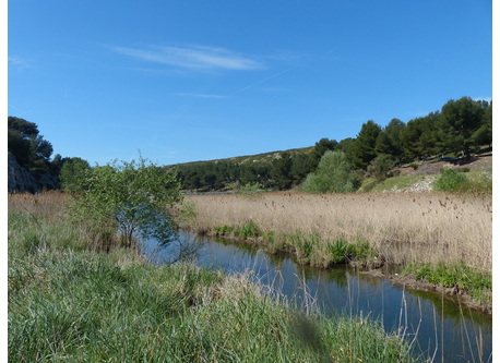 parc botanique de Sausset avec faune et flore locale