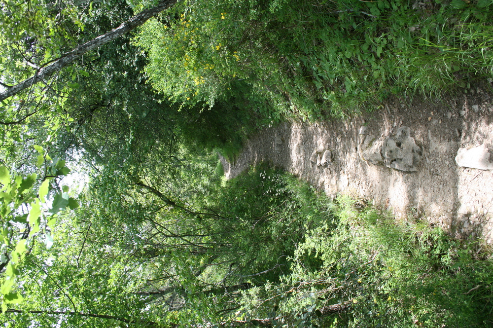 sentier