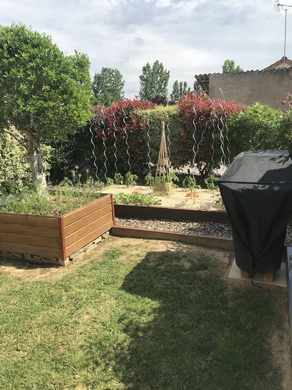 petit potager