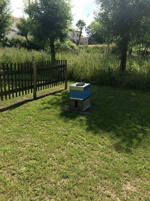 la ruche, dans le 2è jardin