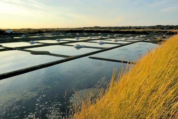 les marais salants - près de Guérande