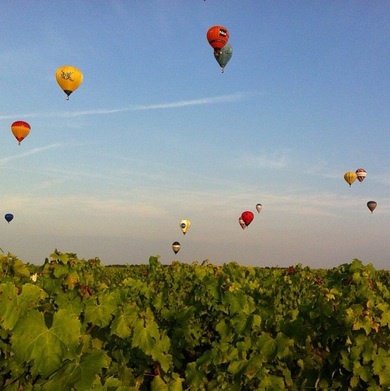montgolfières au dessus du vignoble