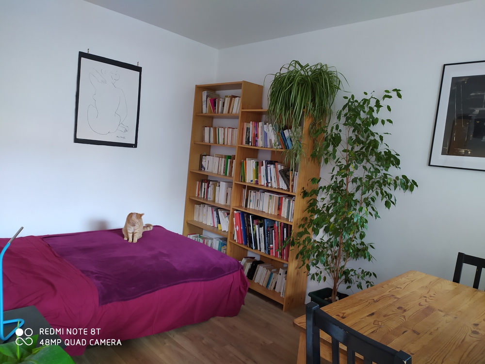 3ème chambre ou petit salon à votre guise. Canapé convertible mais avec un très bon matelas très apprécié par croquette notre petite chatte Pièce qui donne sur la terrasse et l'autre salon.