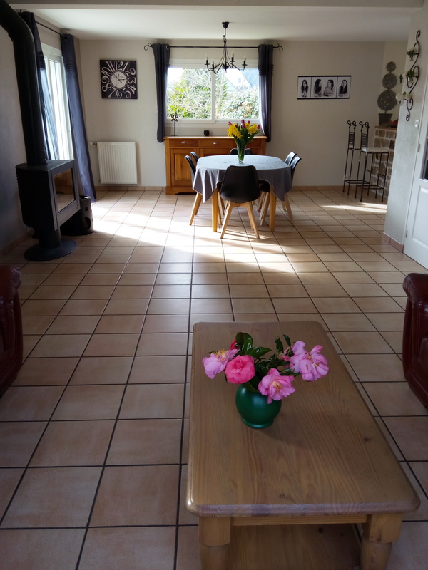 salon salle à manger qui donne sur la terrasse