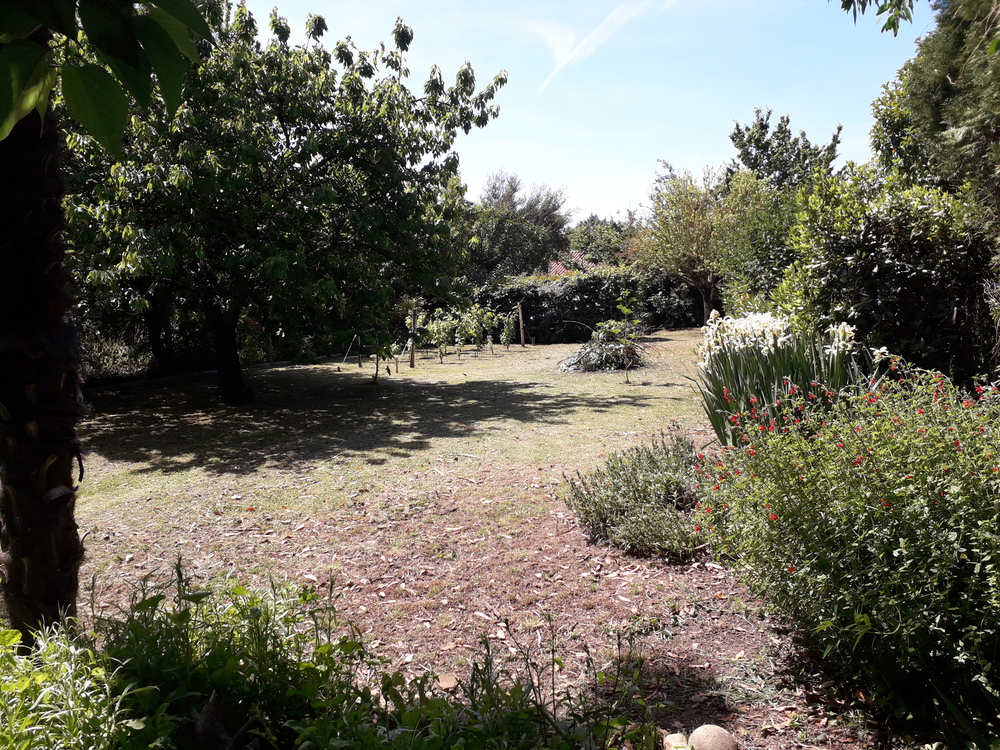 Le jardin