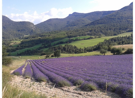 environnement proche 