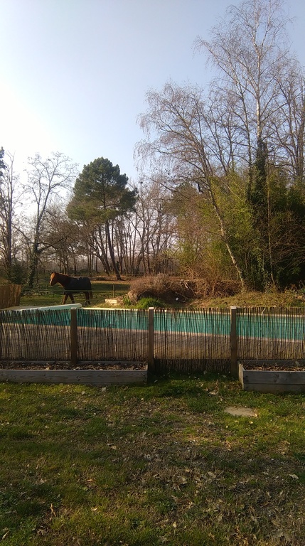 Une clôture électrique empêche le cheval de plonger dans la piscine