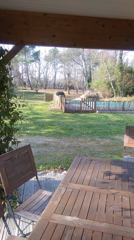 Vue sur la piscine et le pré aux chevaux depuis la terrasse couverte