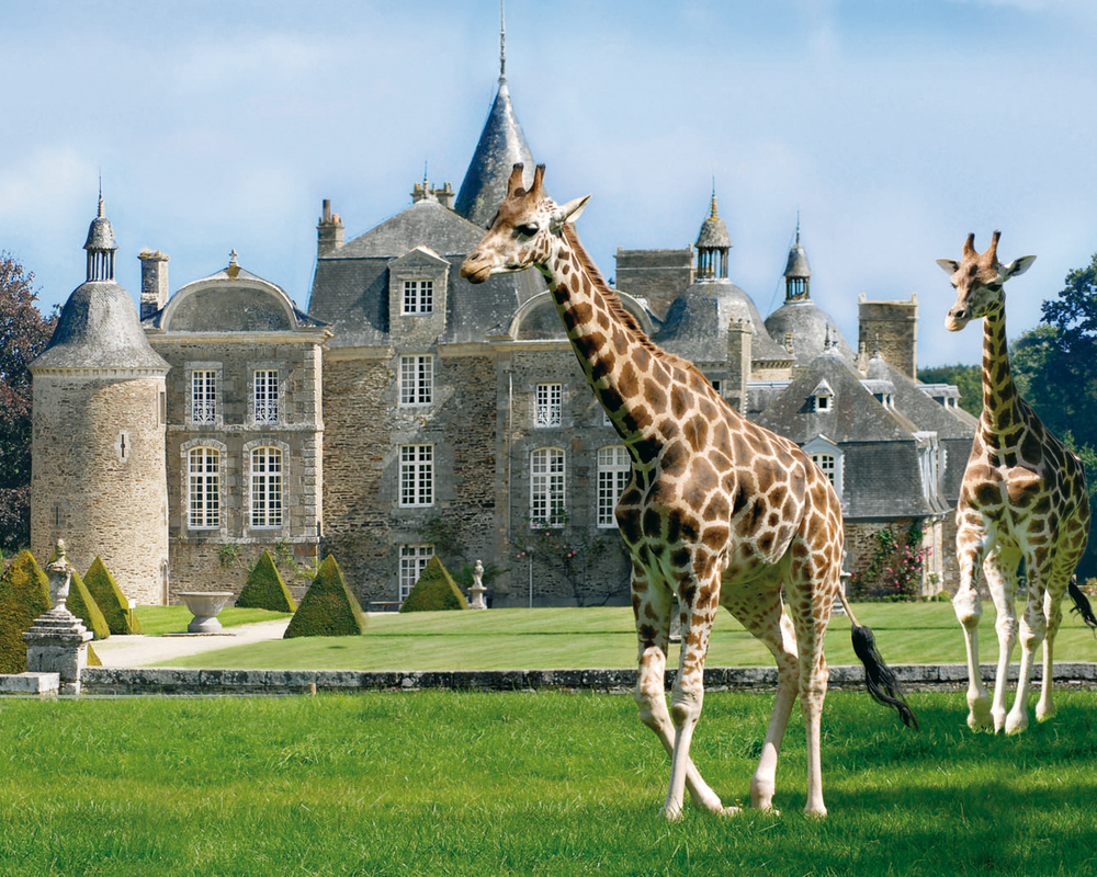 Parc zoologique à 33 km