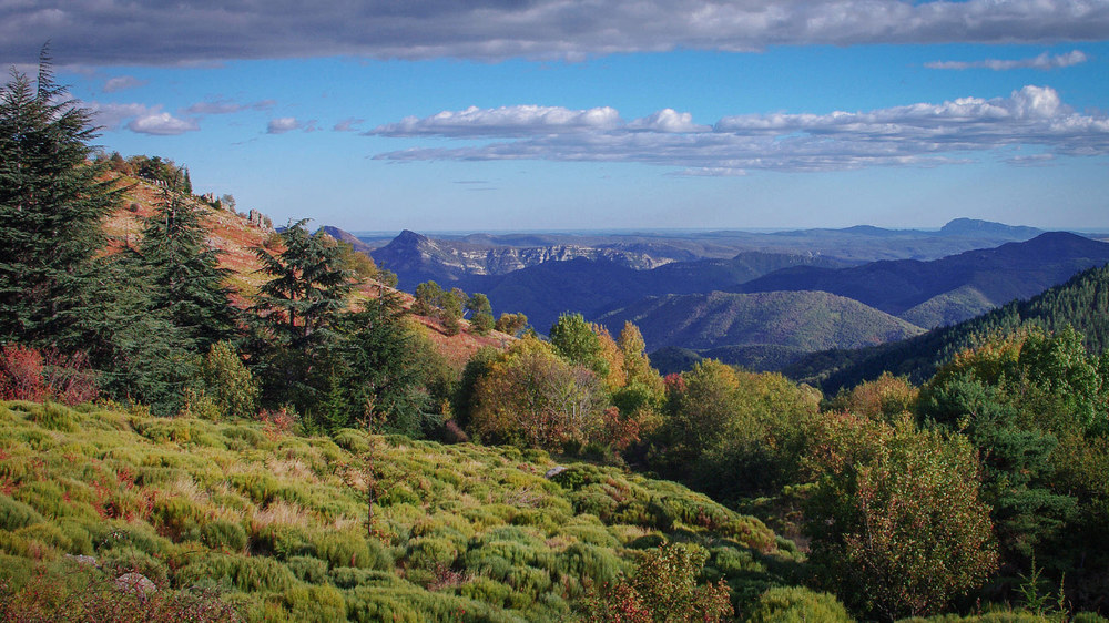 Les Cévennes (Valleraugue)